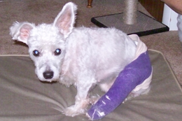 Heaven Update March 5